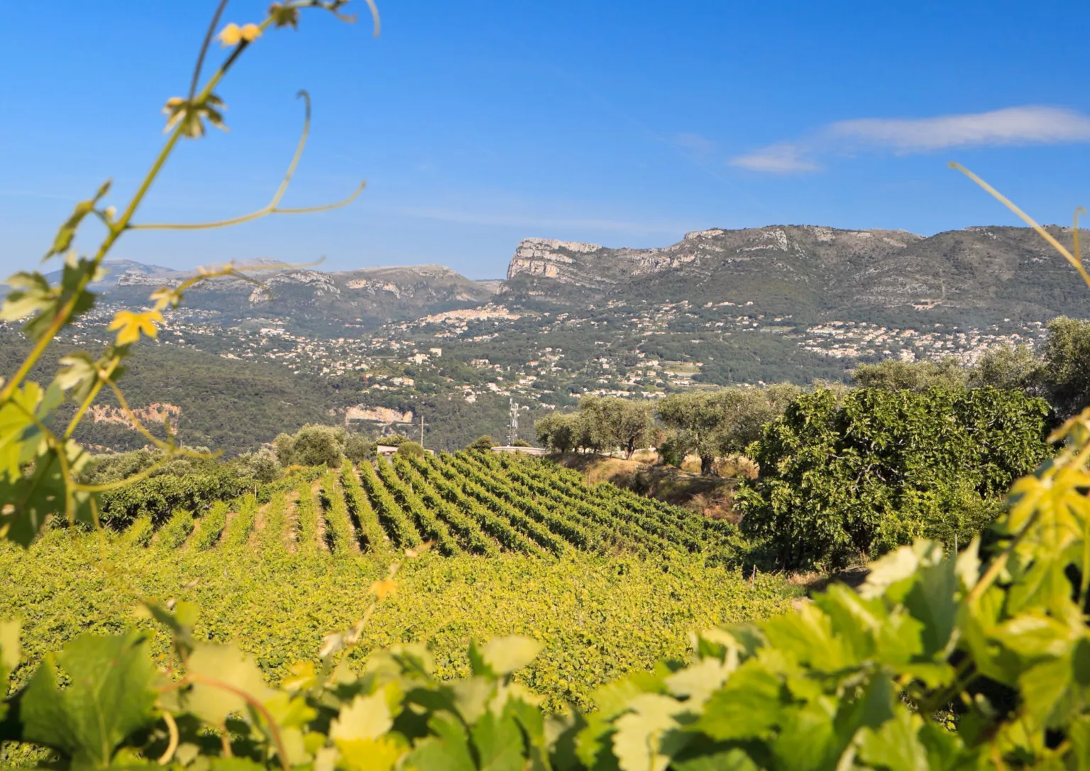 Antibes Domaine Gairaut